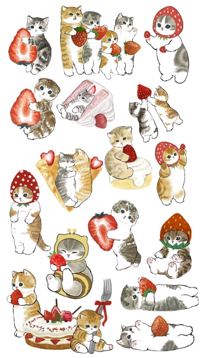 Lilac Kitty Pack β buy in Tunisia | Stickys TN